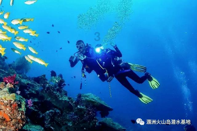 变异动物之战
